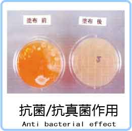 抗菌和抗真菌措施
